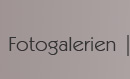 Fotogalerien